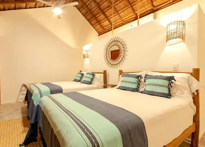 Mimosa Tulum