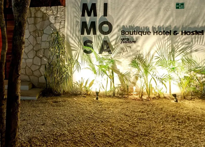 Auberge de jeunesse Mimosa Tulum