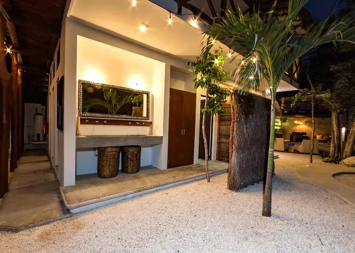 Mimosa Tulum