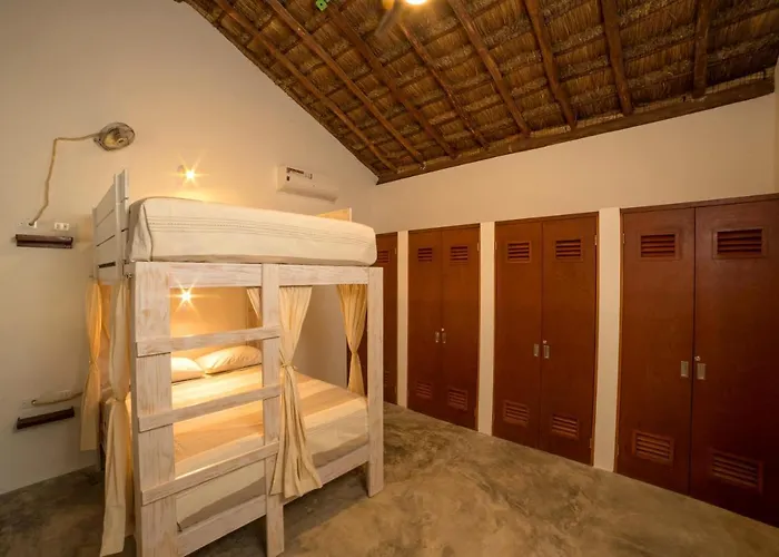 Auberge de jeunesse Mimosa *