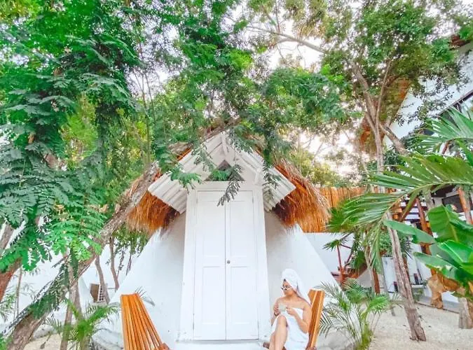 Mimosa Tulum