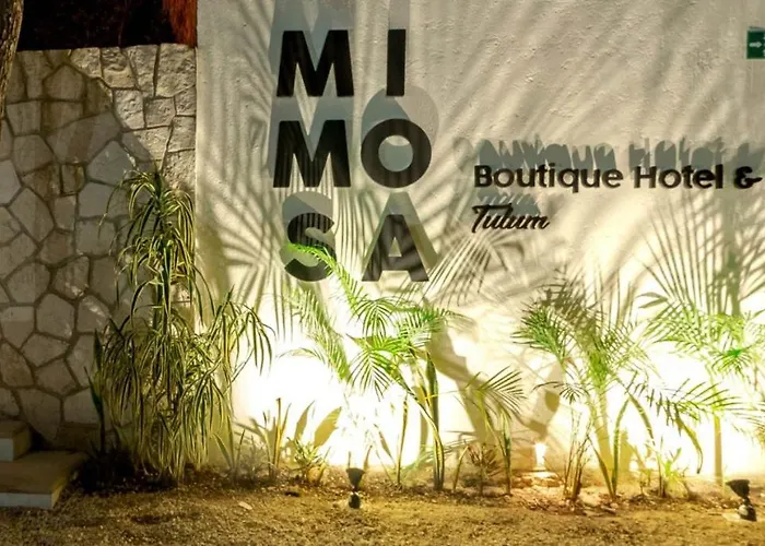 Mimosa Tulum