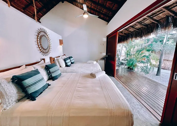 Mimosa Tulum