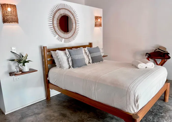 Mimosa Tulum