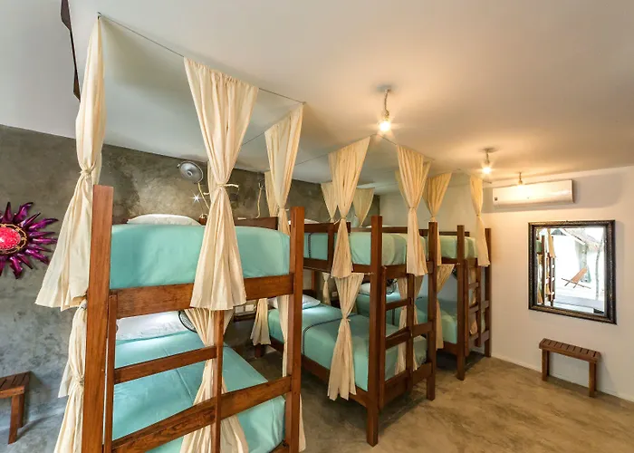 Auberge de jeunesse Mimosa *